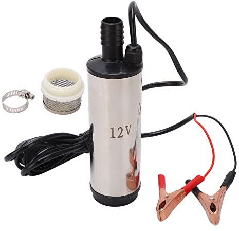 FLEXMAN 12V Tauch Wasserpumpe, Edelstahl Wasserpumpe Tauch Pumpe mit Filter, Kerosin Pumpe mit Abnehmbarem Filters