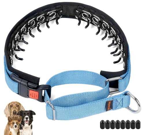 Mayerzon No Pull Dog Collar, Patented Martingale Collar for Small Medium Large Dogs with Buckle and Heavy Duty Nylon for Walking Training Hunting, Safe and Easy to Use(M, Blue)