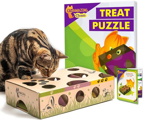 Cat Amazing Interactive Treat Maze and Puzzle CAT Toy