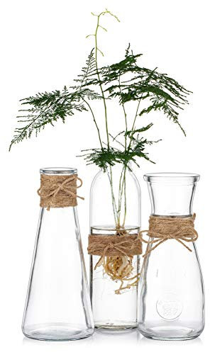 Sziqiqi 3 Stück Klarglas Blumenvasen, Glasvasen Bud mit Seil Design in Verschiedenen Einzigartigen Formen, Blumenvase Herzstück für Hochzeitsempfang Bridal Baby Shower Party Tischdekoration, 3 Stück