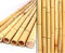 12er Set Bambusrohr 300cm mit 2,8-3,5cm Durchmesser gelblich gebleicht 3m lang (BAYS3003) von bambus-discount.com