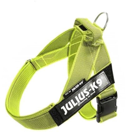 Julius-K9, Color & Gray, Beltgeschirr
