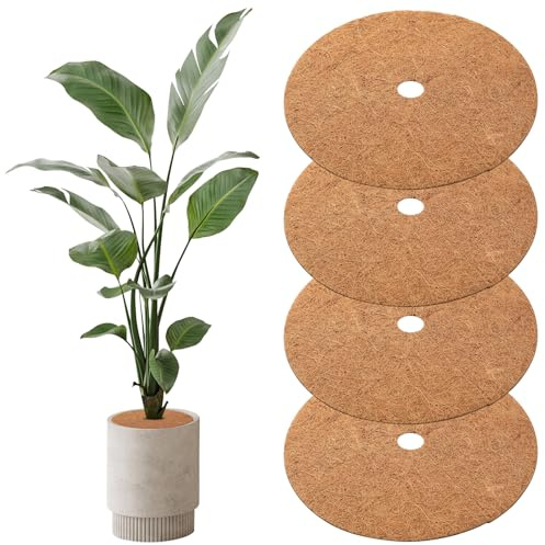 Peygre 4 stycken kokosmatte, skydd, 40 cm