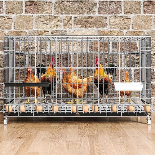 Pollaio per Galline da Esterno 10 Galline, Gabbia per Polli con Ruote e Raccoglitore per Uova, Recinto per Conigli da Fattoria All'aperto nel Cortile(130cm/51.1in)