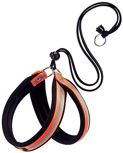 Ferplast Geschirr für kleine Hunde AGILA Reflex 2 Hundegeschirr mit weicher Polsterung, schnelles und einfaches Kordelzug-Verschlusssystem, Brustumfang 32–50 cm. Orange