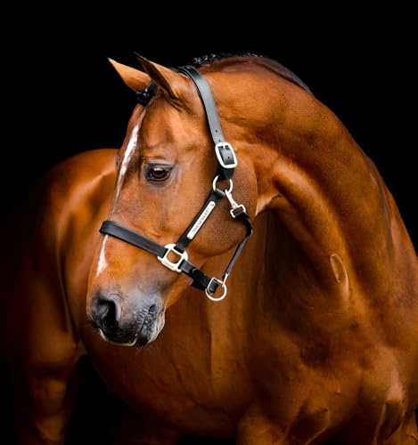 Horseware® Signatur lädergrimma