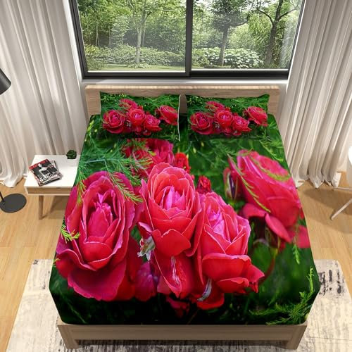 Spannbettlaken 140x200cm Rote RosenblüTe Spannbetttuch Boxspringbett Weiches Microfaser, Bis 30cm Matratzenhöhe, Elastisches Matratzenschoner für Boxspringbett & Wasserbett