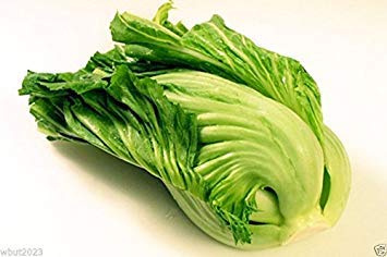 Mustard Kekkyu Takana -2000 Seed (Brassica Juncea) Variety Prized for Pickling !