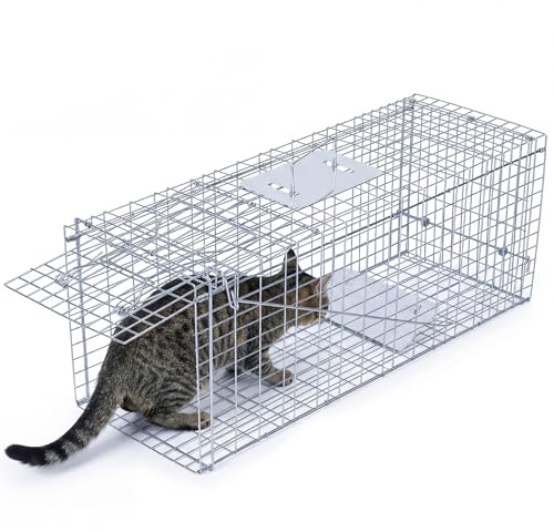 Masiunoz 33 x 11 x 11 Heavy Duty Live Animal Trap, Humane Stray Cat Trap for Raccoons, Squirrels, Rabbits - Folding Galvanized Steel Cage (Silver-33in)