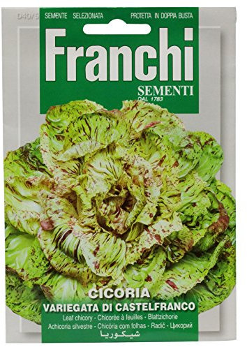 Seeds of Italy Ltd. Franchi Graines de chicorée à Feuilles Variegata de Castelfranco