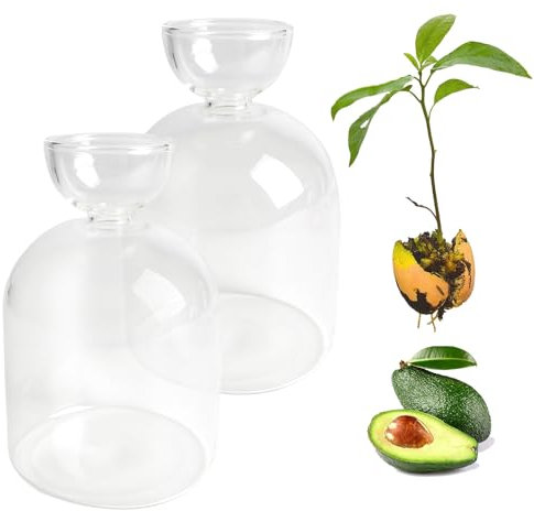 Lot de 2 vases de démarrage de graines d'avocat, vases de culture hydroponiques en verre pour la maison, la table et le bureau