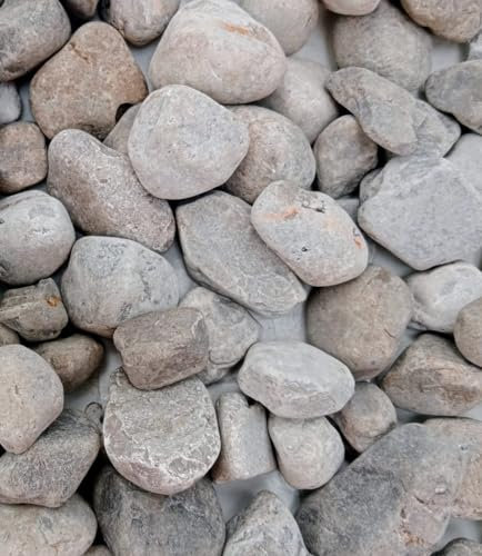 BERNARDELLI - Ciottoli Grigio Occhialino (25/40 mm) per arredo di esterni, vasi e fiorere - Sacco da 25 kg