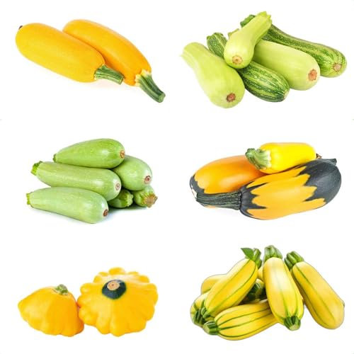 200 pcs zucchini bio samen - nachhaltige produkte heilkräuter zuchini saat,zucchinisamen,Cucurbita pepo, küchenkräuter kräutergarten geschenk pflanztöpfe dekopflanzen garden winterfeste