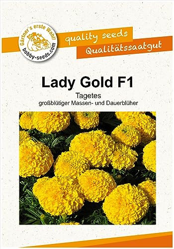 Blumensamen Lady Gold F1 Tagetes Portion