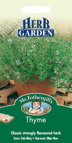 Mr Fothergills - Pictorial Packet - Herb - Thyme - 1000 Seeds