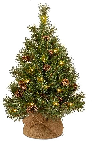 National Tree Company 3 ft Pre-Lit Mini Artificial Christmas Tree, Pinecones, 35 Clear LED Lights, 144 Tips, Timer, Burlap Base, Green
