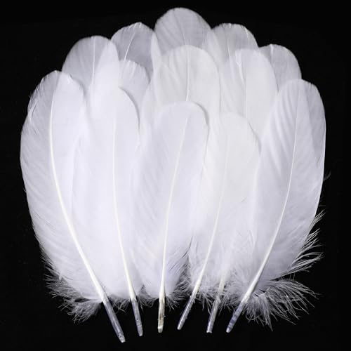 Holmgren White Large Goose Feathers Bulk for Crafting, 200pcs 5-7inch