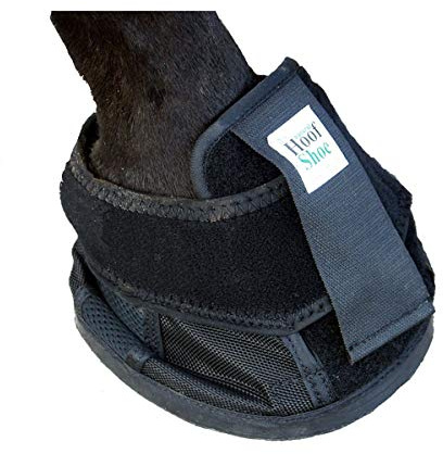 Intrepid International Penn Equine Natural Hoof Shoe, Size 1