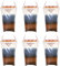 Set di mosche cattura trasparente (6 confezioni)