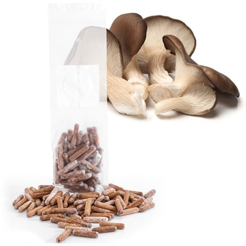 Edelpilze.Shop Pilzdübel 50 Stk für Baumstammkultur – Pilzbrut mit hochwertigem Myzel vom Profizüchter ideal für Heimzüchter & Gartenliebhaber, einfache Anwendung – Austernseitling