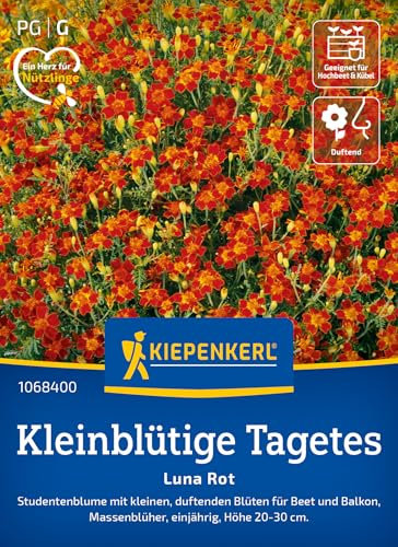 Kiepenkerl Kleinblütige Tagetessamen Luna Rot 1068400 - Studentenblume mit kleinen, duftenden Blüten für Beet und Balkon - Pflanzen, Blumensamen, Saatgut