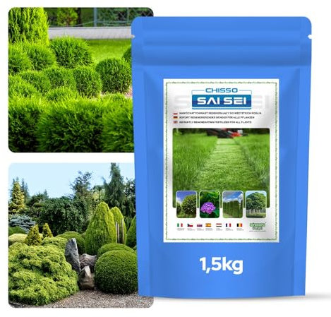 GREEN ORO CHISSO SAI SEI 1,5KG Engrais régénérant pour gazon sain et dense