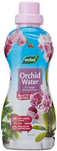 Westland 20100345 Engrais pour orchidée prêt à l'emploi 720 ML