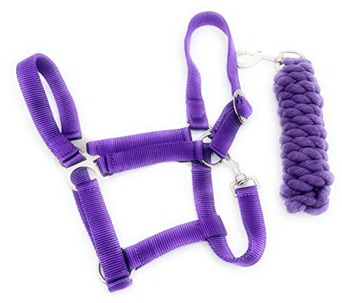 ARBO-INOX Halfter-Set Basic Halfter stufenlos verstellbar mit Führstrick (Shetty, Lila)
