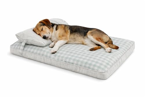 MOMONELO Cama para Perro Mediano 75x50 cm, Funda Lavable. Ideal para Perros hasta 10 kg y Gatos