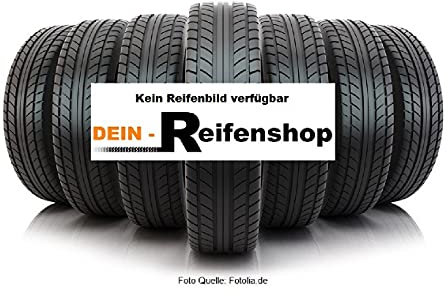 LKW Winterreifen WESTLAKE SW612 205/65R16C 107/105 T ALTE EAN 6390011164339