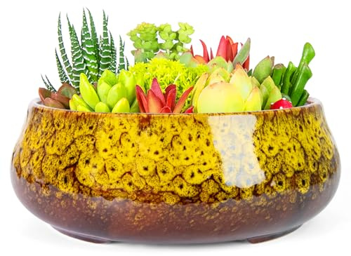 ARTKETTY Grand Pot de Fleurs succulentes – 20 cm de Large Pots de bonsaï avec Drainage – Pots en céramique pour Plantes d'intérieur et d'extérieur – Pot Rond Peu Profond pour Fleurs de Cactus et