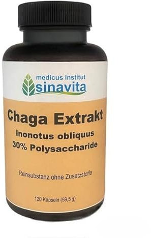 CHAGA Extrakt - 120 vegane Kapseln
