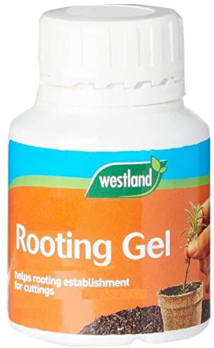 Westland Organic Rooting Gel, Transparent, 150 ml