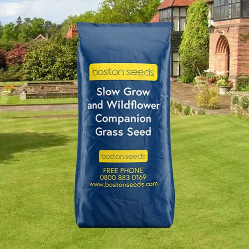 Boston Seeds Slow Grow Grass Seed - Perfect for Slow Growing Lawns. Low Maintenance Wildflower Companion Seeds (1x 5 Kilograms).