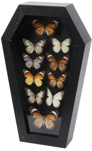 PH PandaHall Wood Specimen Frame 25x15cm Coffin Shaped Display Case Black Taxidermy Insect Display Box with Glass Window Vampire Keepsake Storage Holder Goth Shadow Box for Wall Hanging Butterfly
