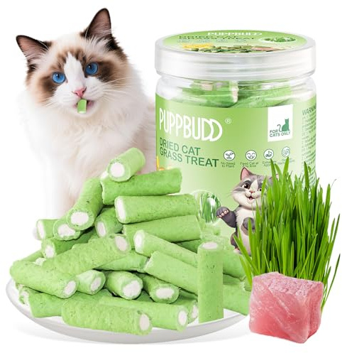 Bâton de Dentition d'herbe de Chat avec Poulet, Comestible Collations pour Chats, Friandises pour Chats Lyophilisé de Nettoyeur de Dents