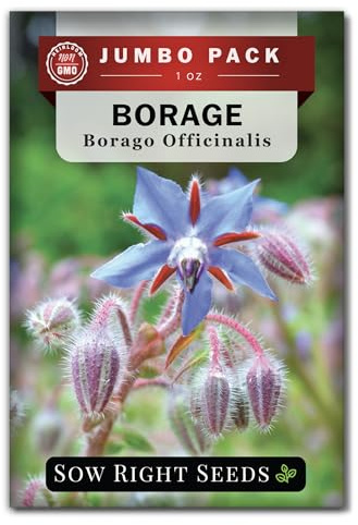 Sow Right Seeds - Bulk Borage Seeds for Planting - 1 Ounce, 1200 Seeds - Non-GMO Heirloom - Jumbo Pack with Instructions to Plant a Home Herb Garden Outdoors - Enjoy a Bountiful Harvest