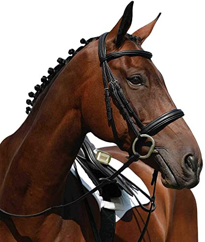 Collegiate Syntovia+ Padded Raised Cavesson Bridle, Black, Full