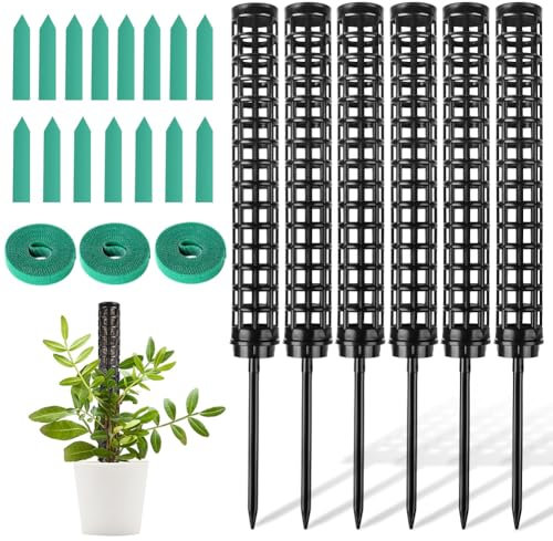 OFFCUP Moosstab Pflanzstab, 6pcs Monstera Rankhilfe, Monstera mit 15 Etiketten und 3 Rollen Klettverschluss, Rankhilfe für Zimmerpflanzen 150cm, für Gartenbepflanzung Efeutute Pflanzenunterstützung