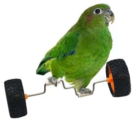 Juguete De Equilibrio Para Loros,Rodillo De Para Jaula De Aves - Suministros Deportivos Divertidos Para Cacatúas Con Percha De Madera Para Exhibición En Mesa - Para Jaula Mesa Hogar Tienda De Mascotas