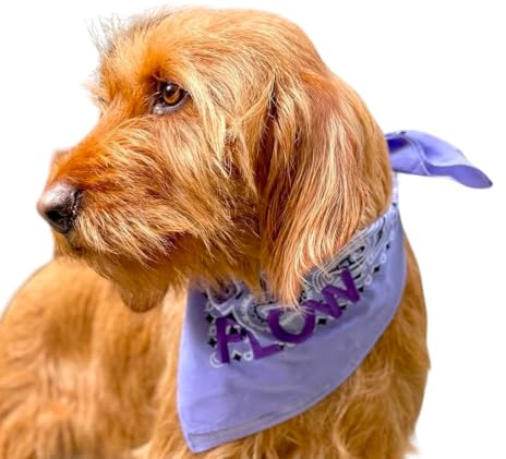 Authentique Bandana pour Chien personnalisé 100% Coton - 34 Coloris Au Choix Made in USA - Broderie Texte, nom - Chien Personnalisable - Cadeau pour Les Amoureux des Chiens (Bleu Chambray)