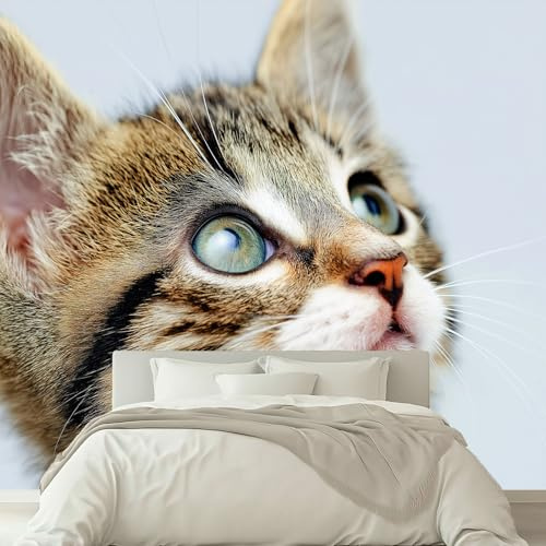 Light Gray Photo Wallpaper Wall Mural Poster, Cute Realistic Animals Cats 3D Panoramic Custom Photo Wallpaper 59 x 41 inch (W x H) - for Living Room Bedroom Decoration