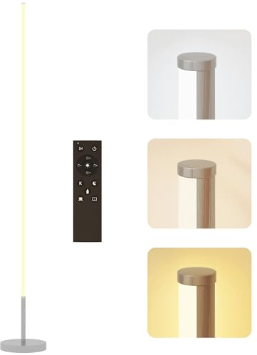 HOMCOM Lampadaire LED à Intensité Variable, Télécommande, Sur Pied, Argent