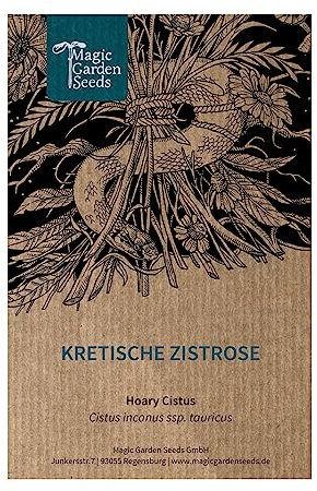Jara estepa (Cistus incanus ssp. tauricus) aprox. 50 semillas de planta aromática y arbusto perenne poco resistente planta medicinal incienso