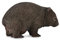 CollectA 88756 - Wombat