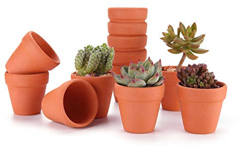 T4U 12pcs Pots de Fleurs Rouge Intérieur Extérieur 8 cm, Mini Pot en Terre Cuite de la Famille des Cactus pour Décoration Horticole Mariage, Maison, Jardin et Chambre