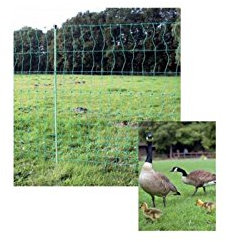 ARNDT Hühnerzaun Geflügelzaun Geflügelnetz 112cm x 25m Doppelspitze Zaun Netz Farbe: Grün