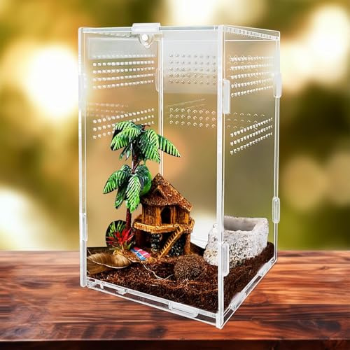 UBJUBT Kit de terrario, caja de cría de reptiles, recinto de insectos de palo, caja de tarántula, caja de alimentación transparente para araña, lagarto, escorpión, mantis, gecos, escarabajos, grillos