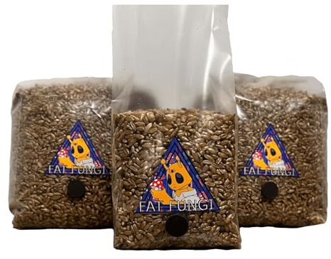 Grain Spawn Bag - 750g Sterilized Organic Rye - Grow Mushroom Kit - Unicorn Bags…