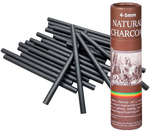 Mikiuly Charcoal Pencils, Charcoal Sticks, 4-5mm Black Willow Charcoals, Willow Charcoals Sketch Drawing Pencils Set for Artists Students and Hobbyists, 25PCS